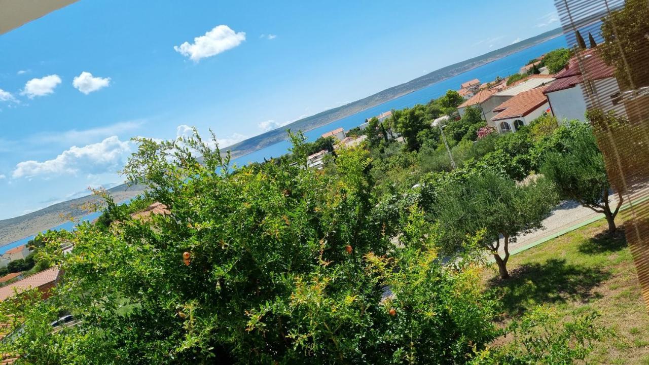 Arts Room Jasmina With Sea View Bikers And Pets Are Welcome Starigrad Paklenica Εξωτερικό φωτογραφία
